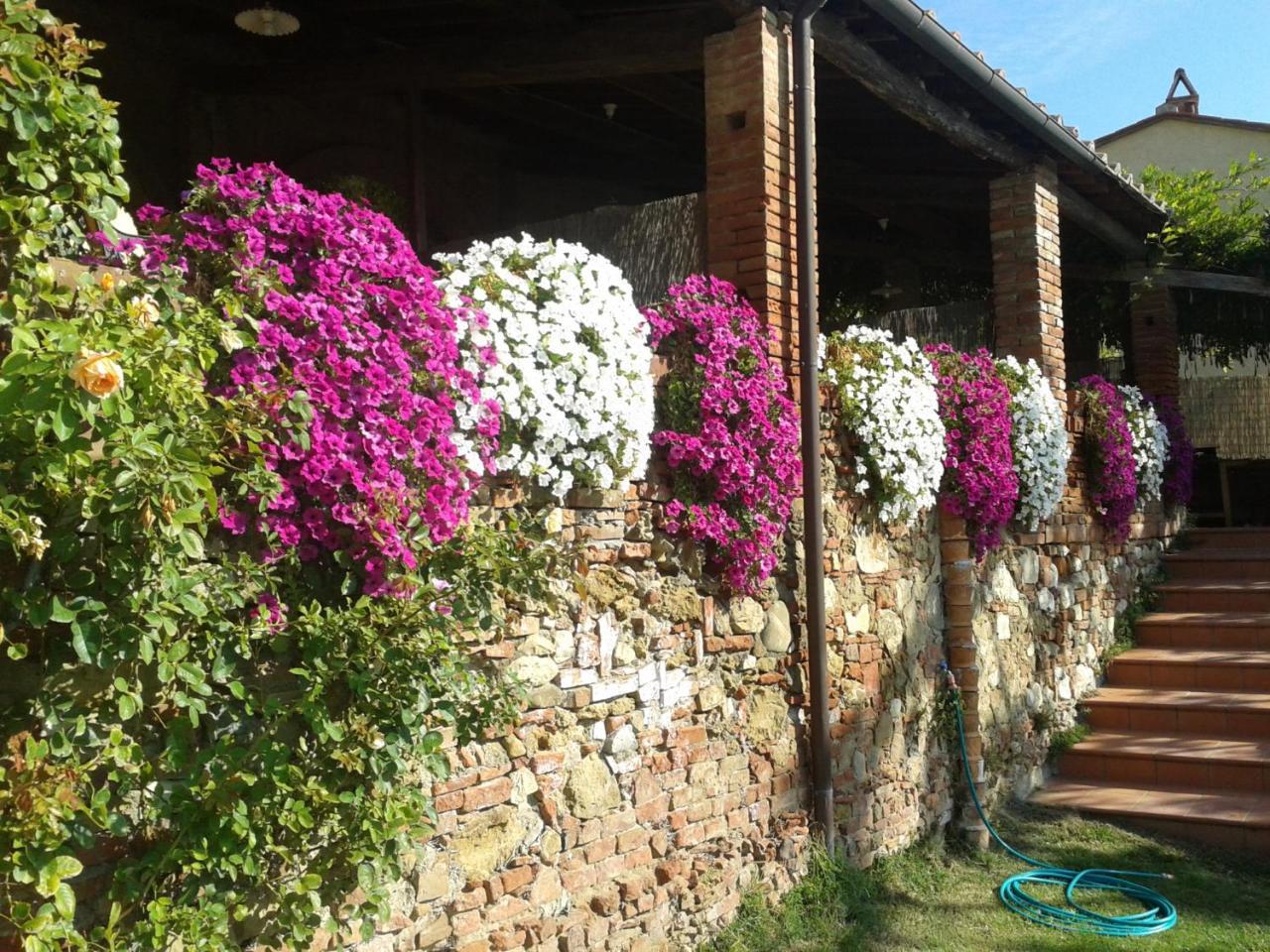 Hostal Borgo Fajani Terricciola Exterior foto